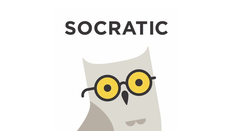 Socratic Owl logo