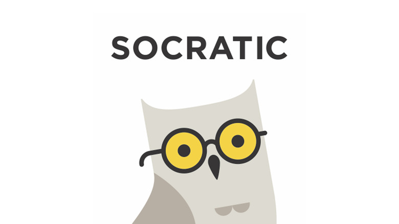 Socratic Owl logo