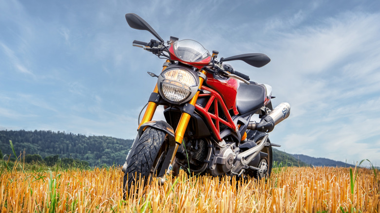 Ducati Monster Motorbike in field