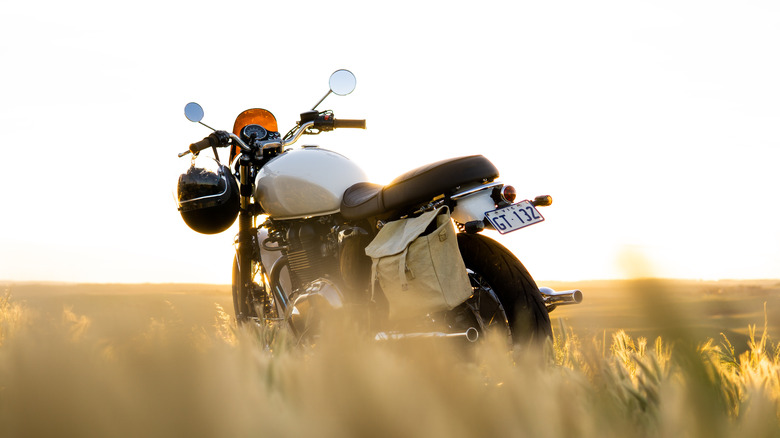 Triumph Bonneville morotcycle outdoors