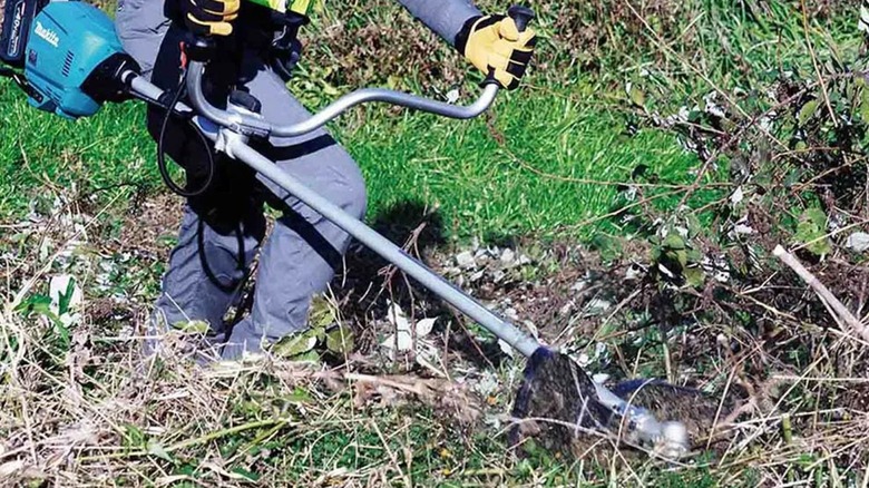 chopping thick growth with Makita brush cutter