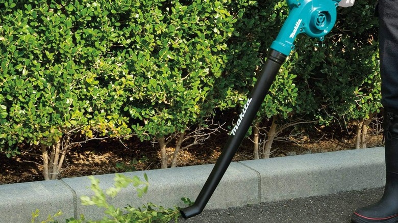 Man using Makita XBU06Z Blower on sidewalk