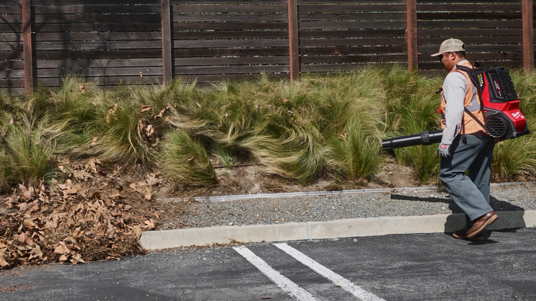 Person using Milwaukee backpack blower