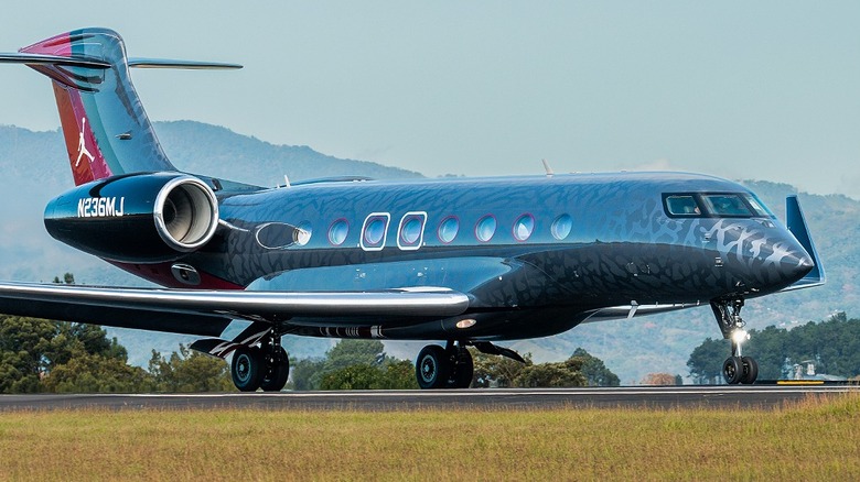 Michael Jordan's private jet, designed with a black elephant skin pattern and a red tail featuring the Jumpman logo and the registration number 