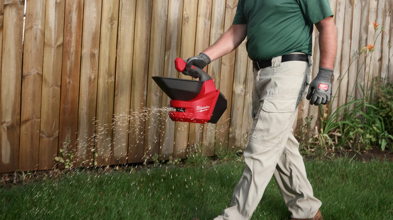 Spreading seed with a Milwaukee M12 handheld broadcast spreader