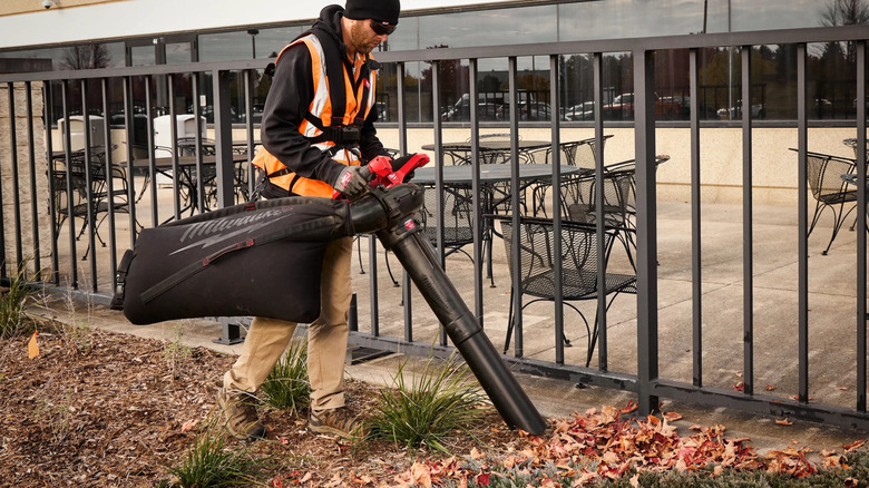 Mulching leaves with a Milwaukee M18 Fuel mulching vacuum