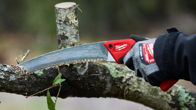 A 14-inch Milwaukee fixed pruning saw cutting a branch