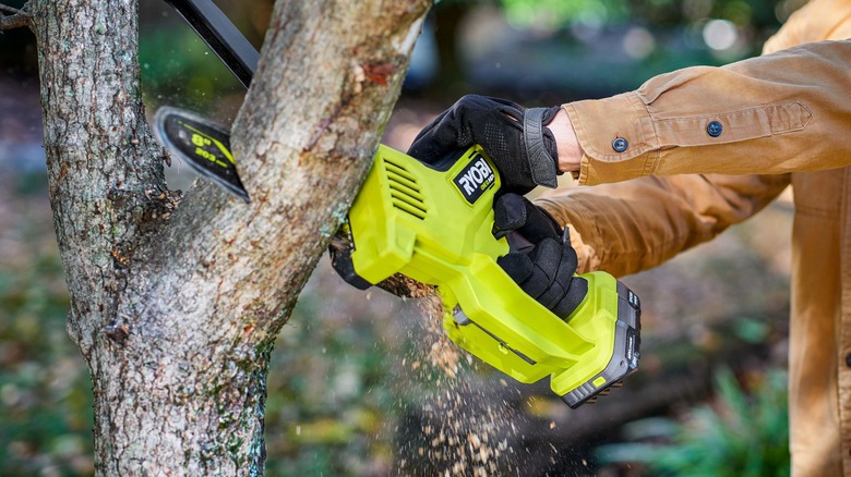 Man uses Ryobi pruning chainsaw