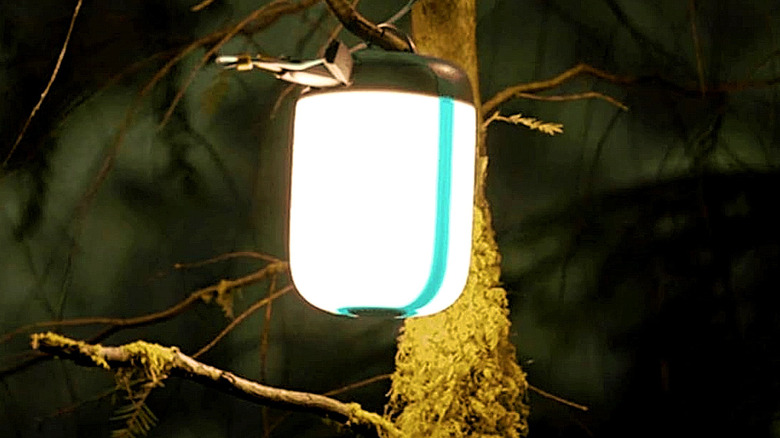 The BioLite AlpenGlow 500 hanging from a tree.