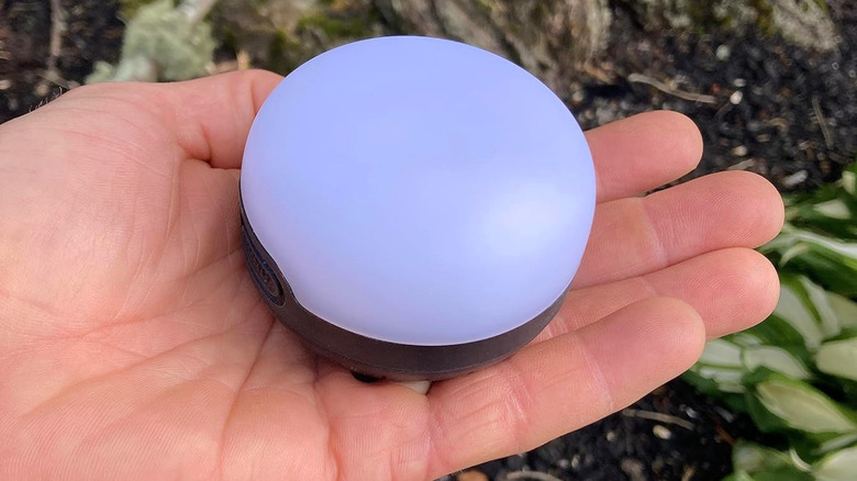 The Black Diamond Moji is compact.