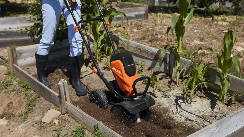 Woman using Atlas Cultivator to till garden bed