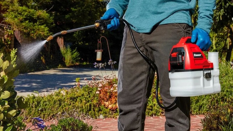 Man using Bauer chemical sprayer in garden