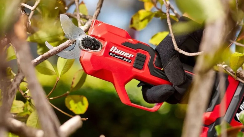 Bauer Cordless Pruner being used to trim branches
