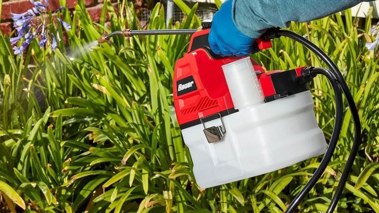 Person using Bauer chemical sprayer in garden