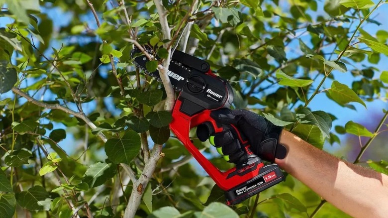 Person using Bauer cordless pruning saw