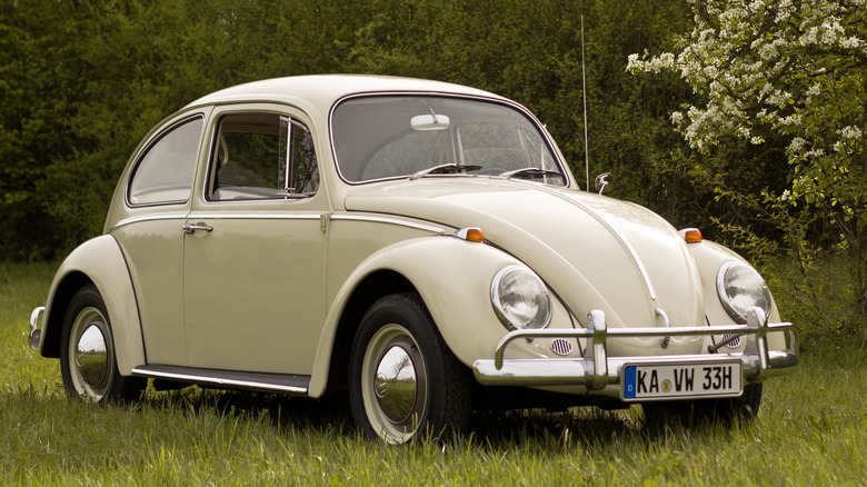 Cream-colored 1966 Volkswagen Beetle with export model bumpers in a field with trees in the background