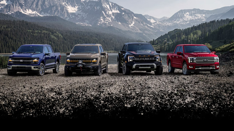A few Ford trucks lined up against a lake, woods, and mountain background