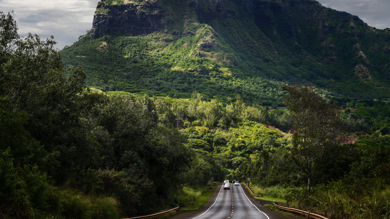 Road outside Kauai, Hawaii