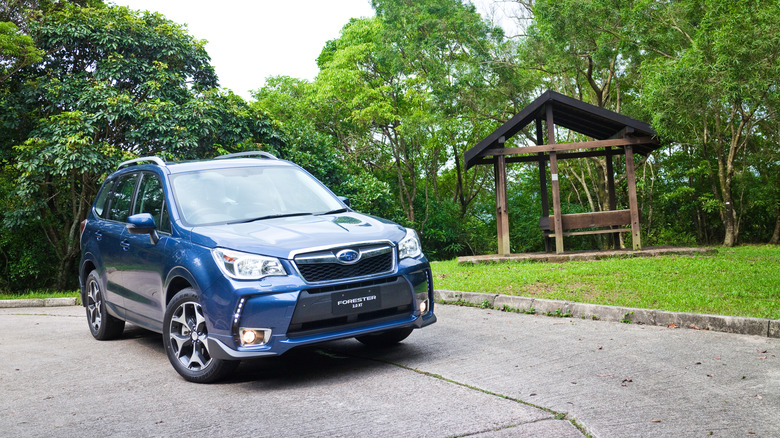 A blue Subaru Forester parked in front of a lush green background