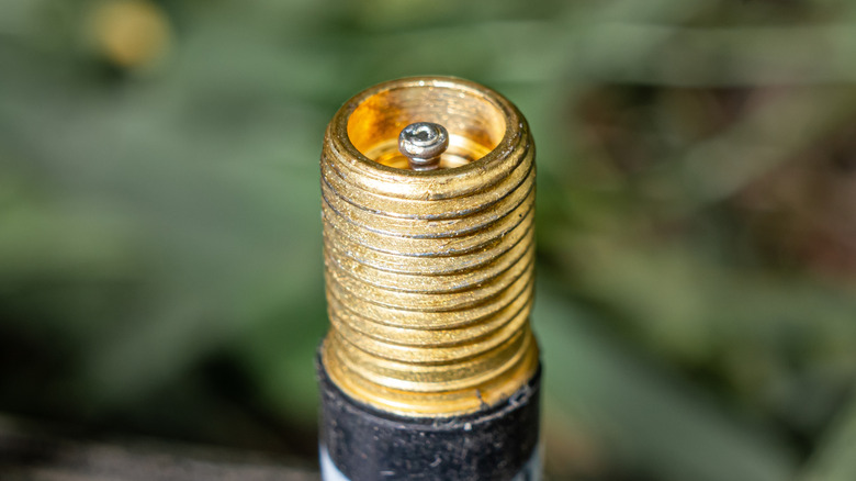 a close up of the top of a Schrader valve