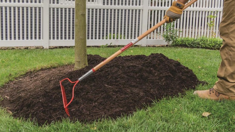Raking mulch with Ace bow rake