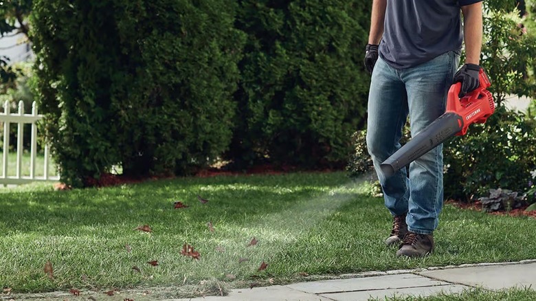 clearing away grass with Craftsman blower