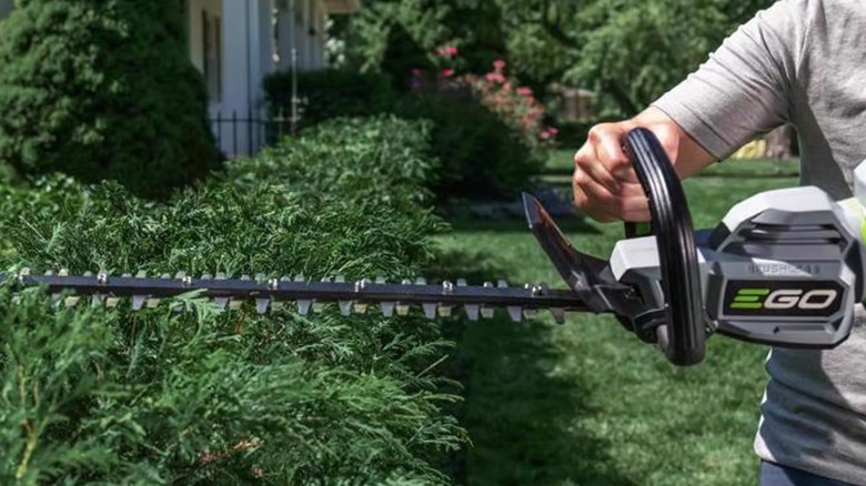 cutting bush with Ego trimmer