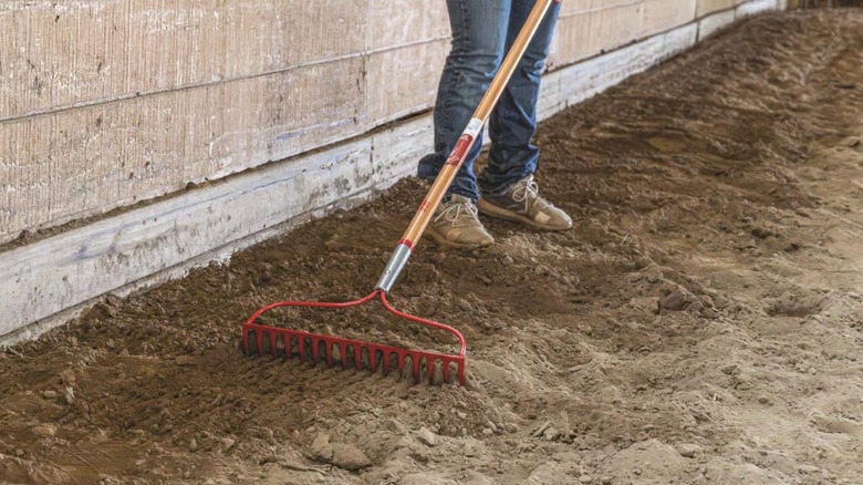 raking soil with Ace bow rake