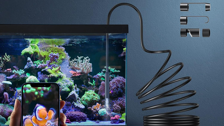 A Kinpthy 1920P HD Industrial Endoscope helping someone to investigate a fishtank.