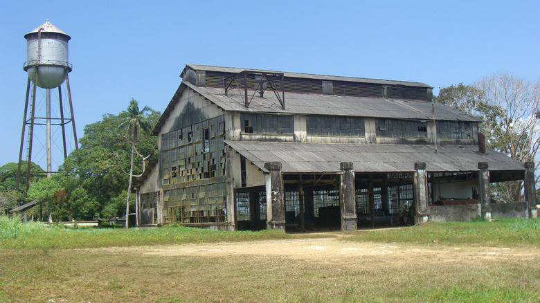 A dilapidated building that was part of Ford's failed Fordlandia town.