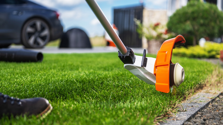 person using edger to trim grass along walkway