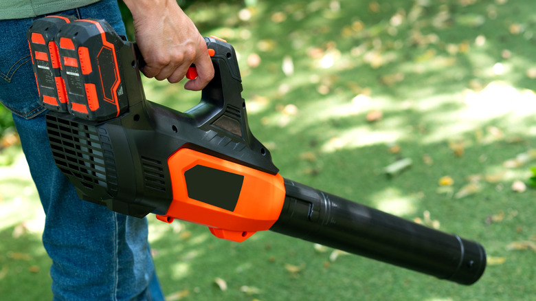man using cordless leaf blower in yard