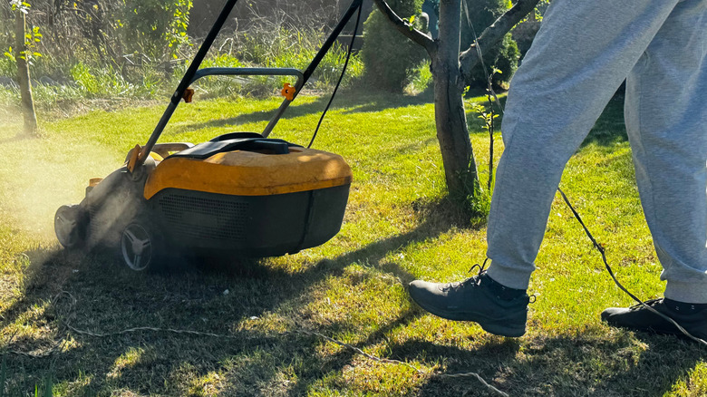 man using power aerator on grass lawn