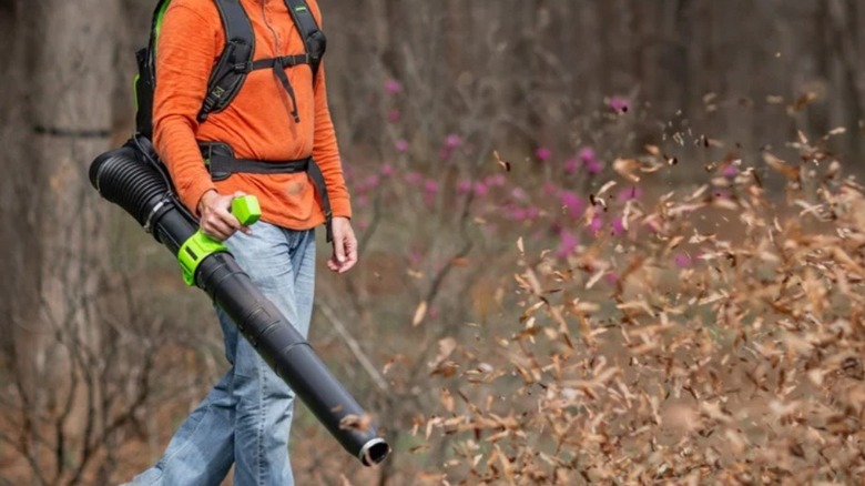 Person using Greenworks leaf blower