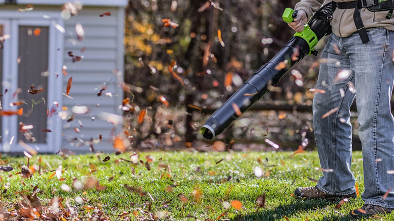 A person using a Greenworks leaf blower.