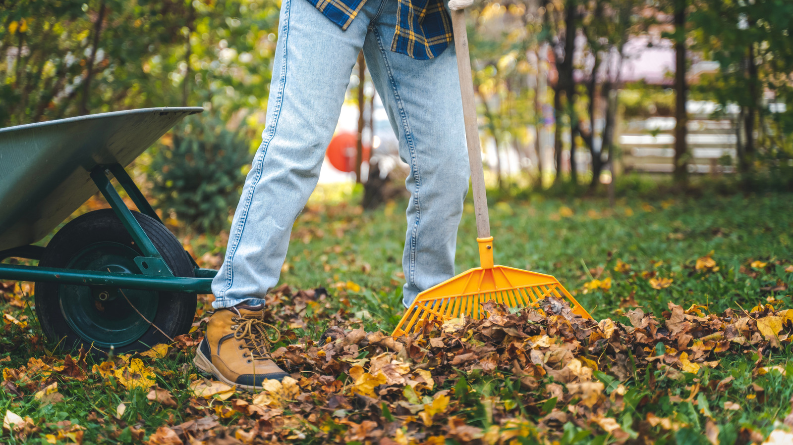 12 Practical Leaf Cleanup Tools To Consider If You Have Trees Around Your Home