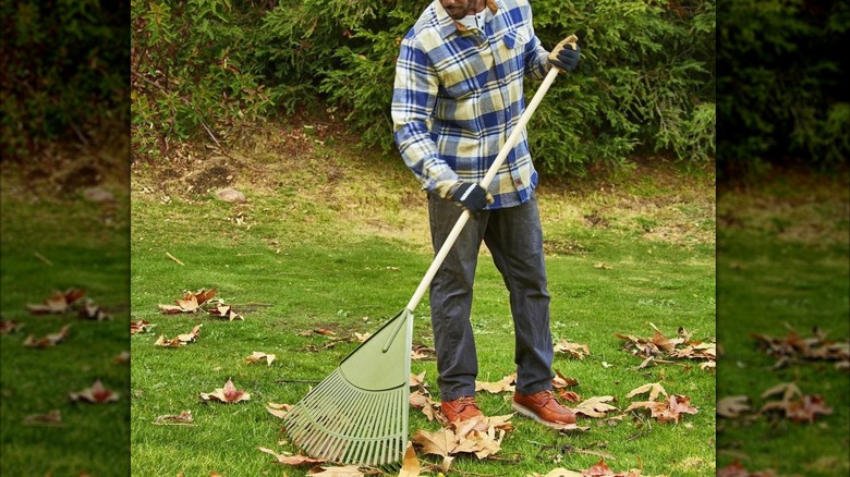 man raking with leaf rake