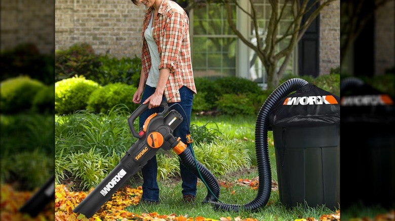 vacuuming leaves with Worx Trivac