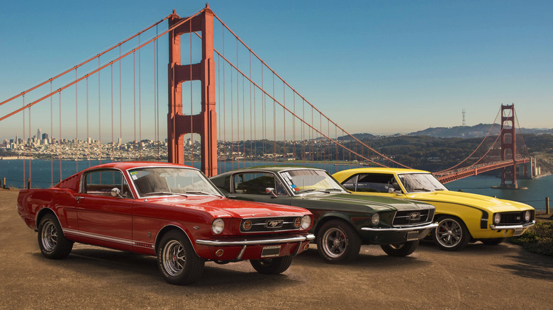 Three Mustangs near Golden Gate Bridge