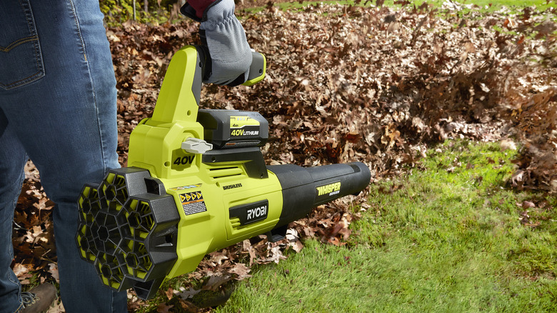 Ryobi leaf blower with battery pack