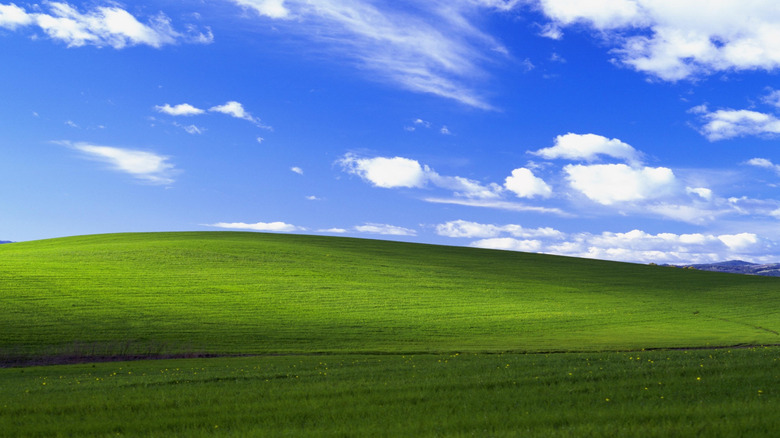 Microsoft Windows default wallpaper