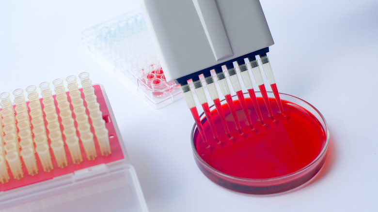 Blood Testing