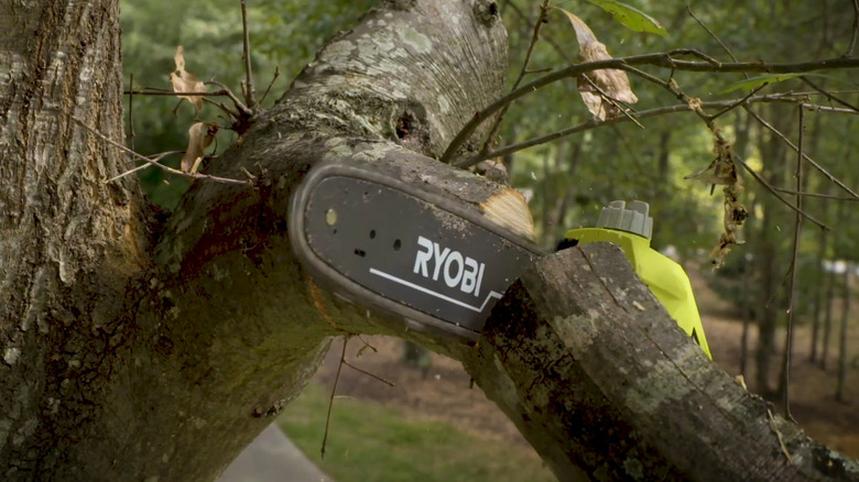 A close up shot of a Ryobi Cordless Pole Saw in use