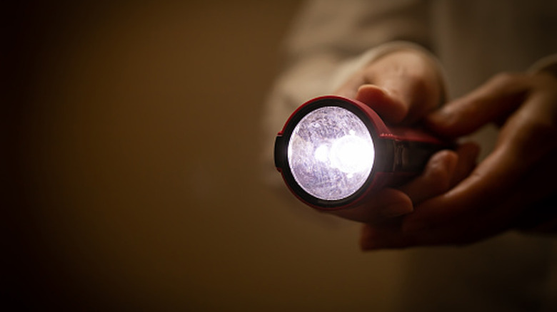 A person pointing a flashlight