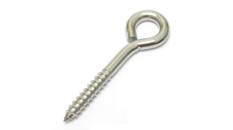 A picture of an eye head screw