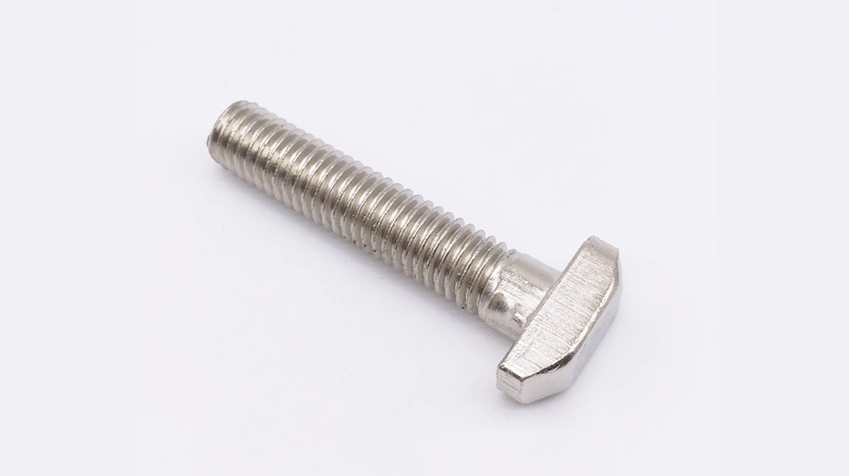 Close up of T-head screw