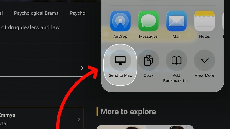 Send to Mac HyperDuck option in the iPad share menu in Safari