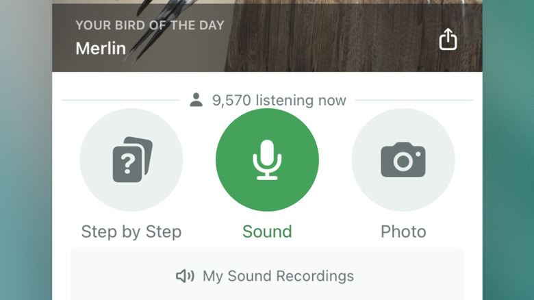Merlin Bird ID app on iPad