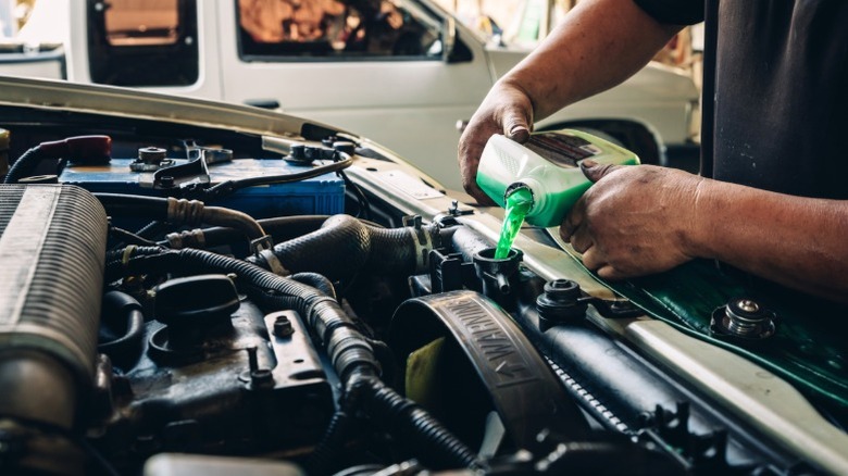 pouring coolant into a car
