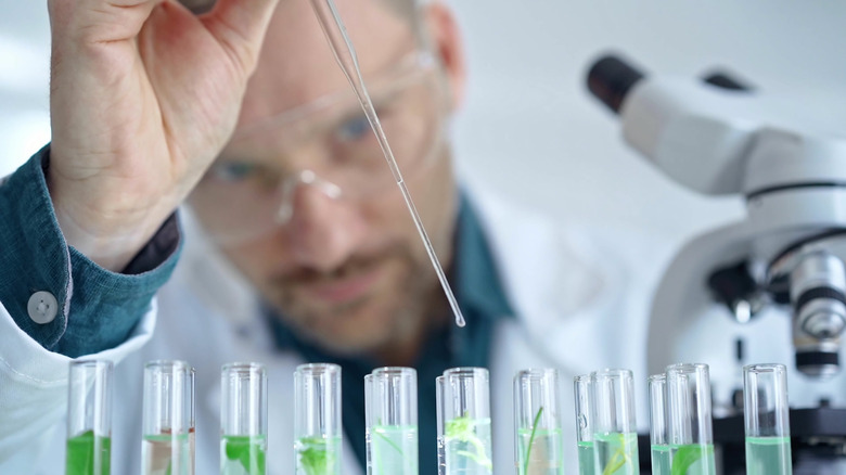 Scientists working on specimens
